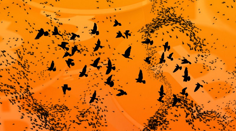 Why Bitcoin Unlimited’s “Emergent Consensus” Is a Gamble 1 비트코인 언리미티드의 “출현적 합의”가 도박인 이유 2