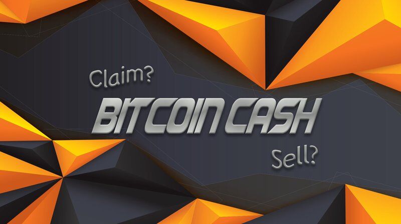 비트코인 캐시(Bitcoin Cash) 청구(및 판매)에 대한 초보자 가이드 2