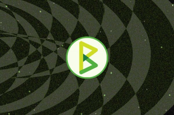 탈중앙화 결제 프로세서 BTCPay, 새로운 청구 옵션 추가 2