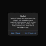 Bitcoin Wallets For Beginners, Part Three: Installing Blue Wallet 14