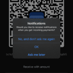 Bitcoin Wallets For Beginners, Part Three: Installing Blue Wallet 15