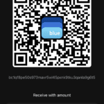Bitcoin Wallets For Beginners, Part Three: Installing Blue Wallet 16
