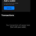 Bitcoin Wallets For Beginners, Part Three: Installing Blue Wallet 8