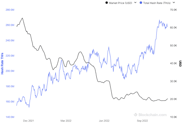 Data Suggests Bitcoin Holders Remain Steadfast 5
