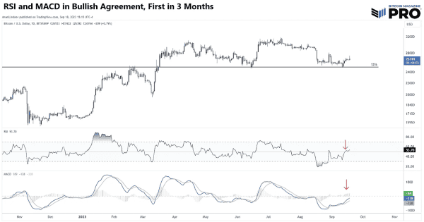 Dollar Wrecking Ball, Good or Bad for Bitcoin? 4 달러 파괴 공, 비트코인에 좋거나 나쁜가? 5