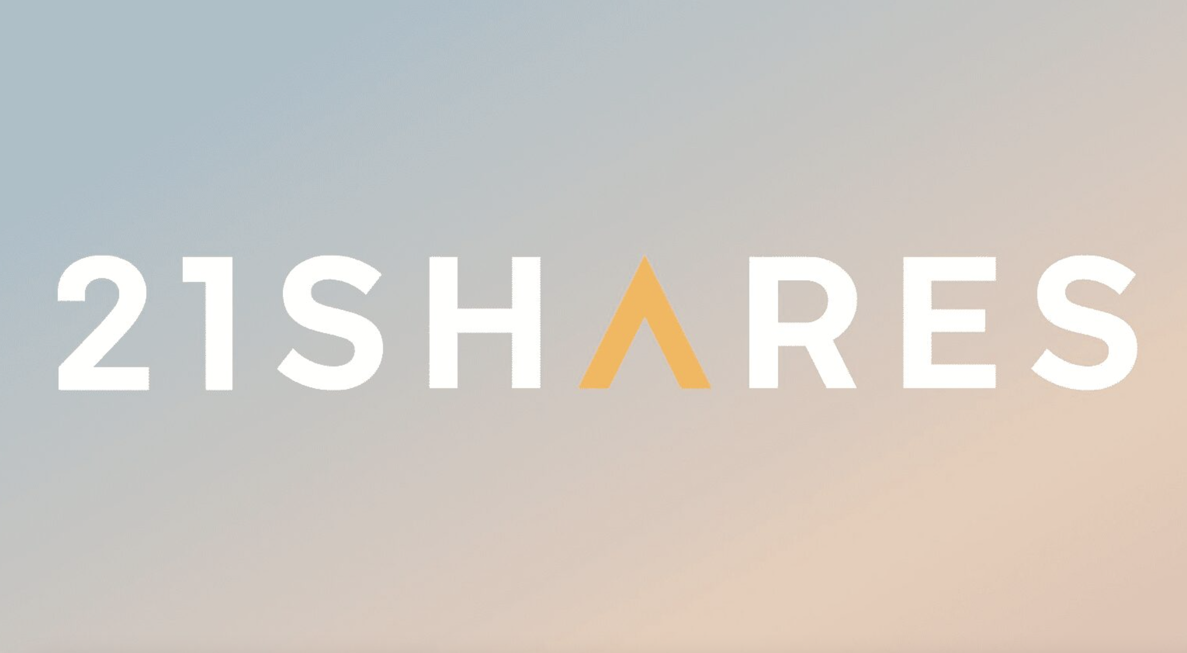 A List of Every Wall Street Giant Seeking to Launch a Bitcoin ETF 2 비트코인 ETF 출시를 목표로 하는 모든 월스트리트 거물 목록 3