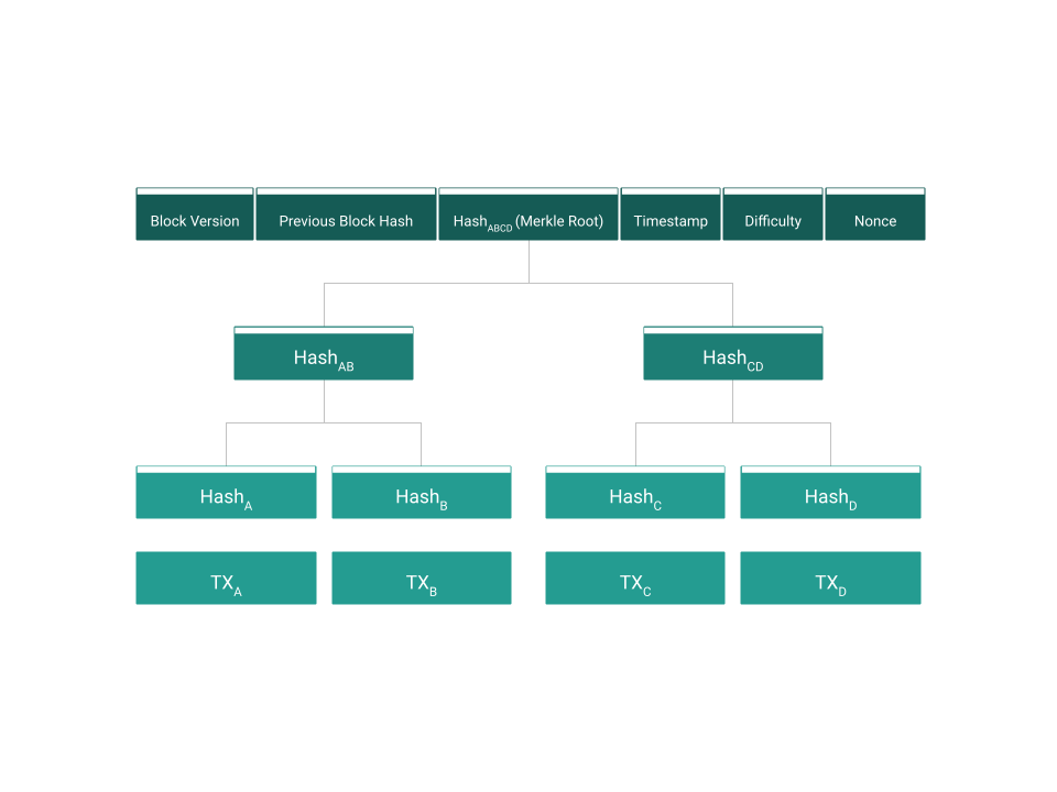 Bitcoin: The Tree of Bytes 1 비트코인: 바이트의 나무 2