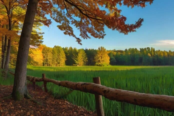 위스콘신 투자 위원회, 최초의 주 연금으로 스팟 비트코인 ETF 구매, 1억 6200만 달러 이상 보유 1