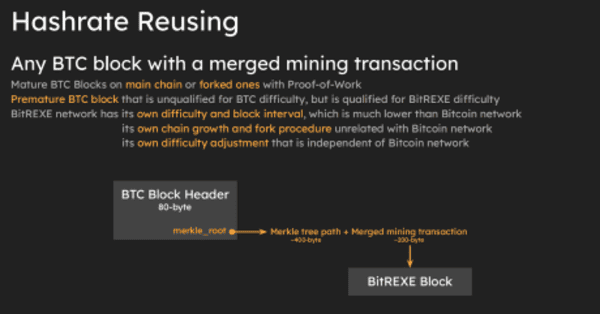 BitReXe: 비트코인 네트워크에서 병렬 VM 활성화 4