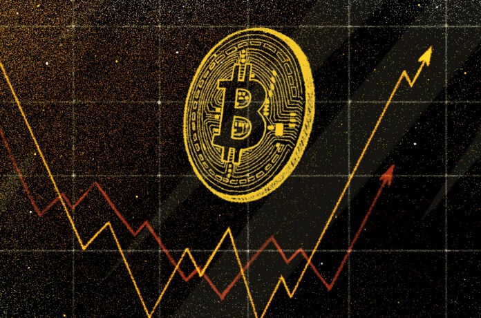 가격 하락 속에서 0.1 BTC 이상 보유한 비트코인 주소가 사상 최고치 근처에 도달했습니다. 1