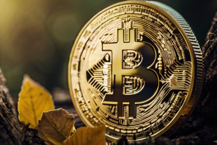 위스콘신주 투자 위원회, 블랙록 비트코인 ETF 보유량 증가: SEC 제출 서류 1