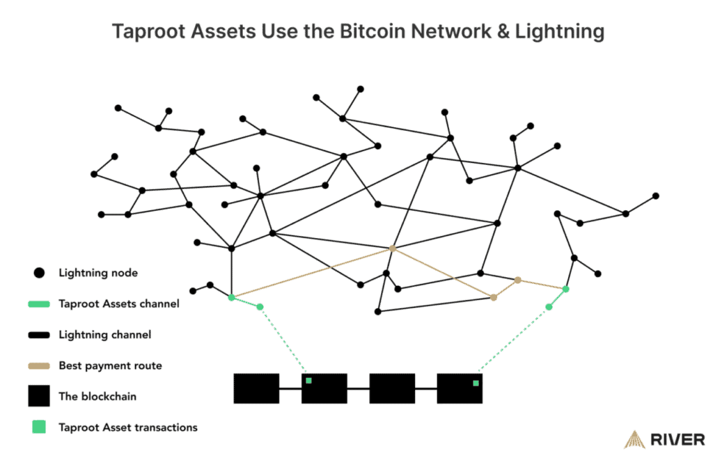 Tether is back on Bitcoin - Lightning Dominance Is Just Starting 1 테더가 비트코인으로 돌아왔습니다 – 라이트닝 지배가 이제 시작됩니다 2