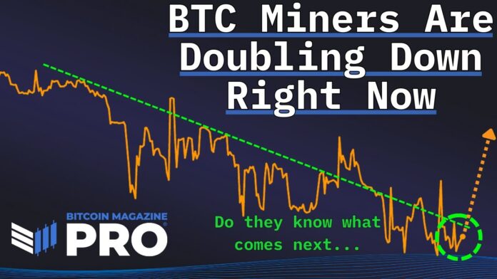 Bitcoin Miners Are Doubling Down 1
