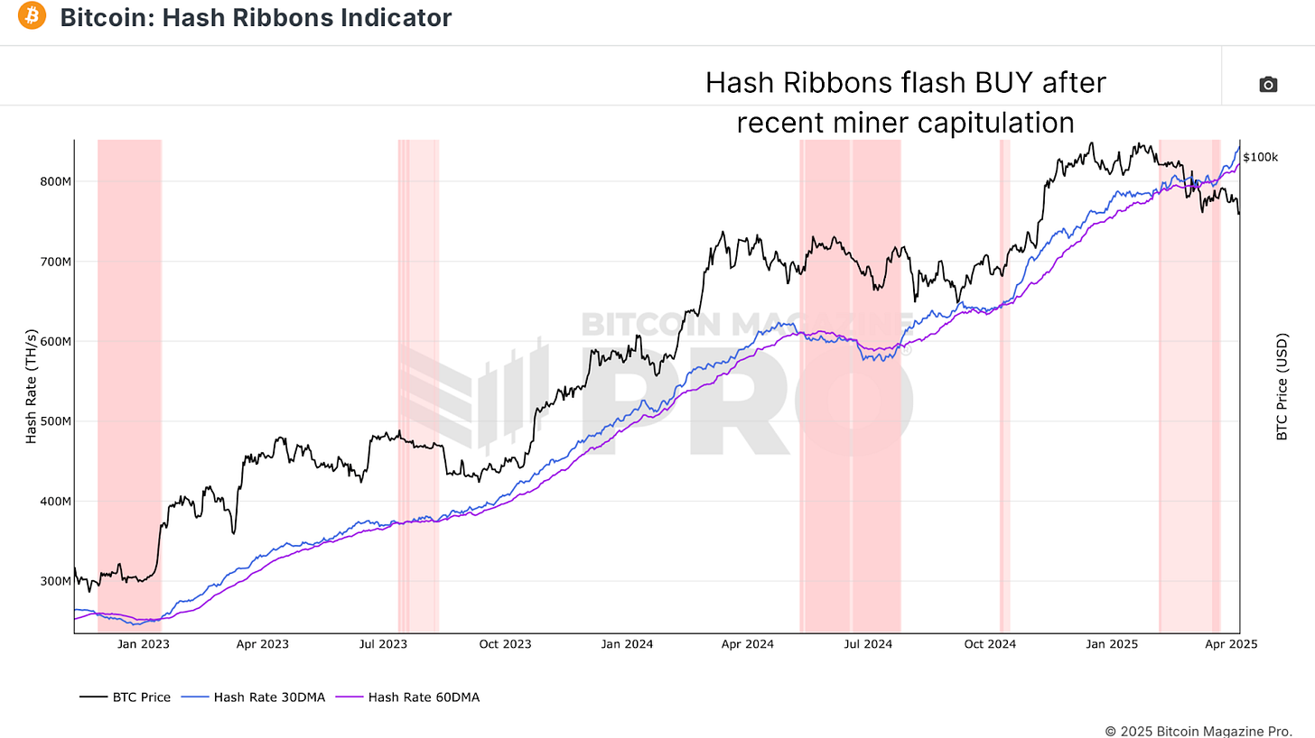 Bitcoin Miners Are Doubling Down 3 Bitcoin Miners Are Doubling Down 4