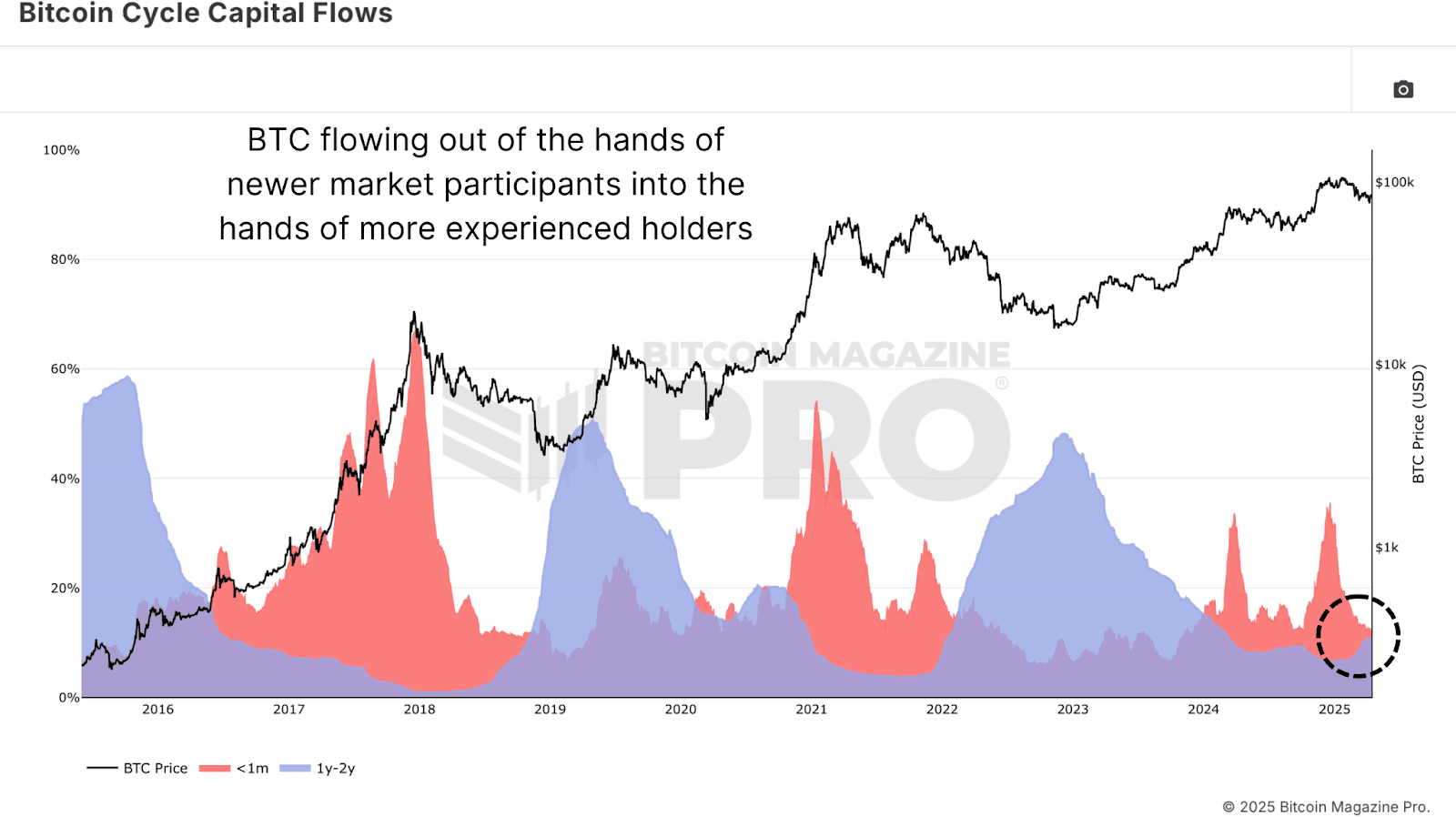 What Bitcoin Indicators Predict for Q3 2025? 4