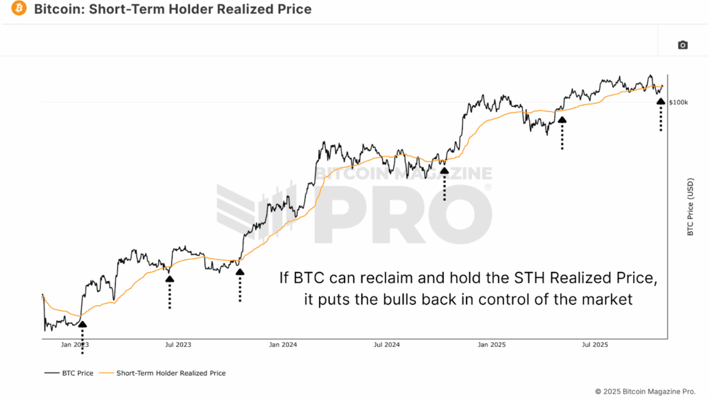This Bitcoin Price Cycle Data Reveals Next Major Bull Run 1