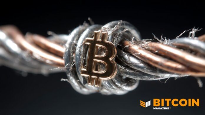 Citrea가 메인넷을 출시하여 비트코인에 대출, 거래 및 USD 결제를 도입합니다. 1